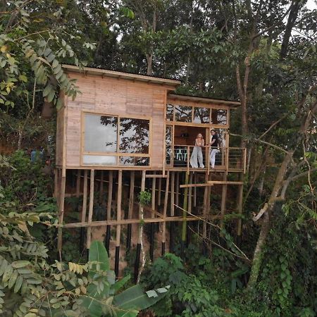 Luxury Tiny House - Minca Villa Bagian luar foto